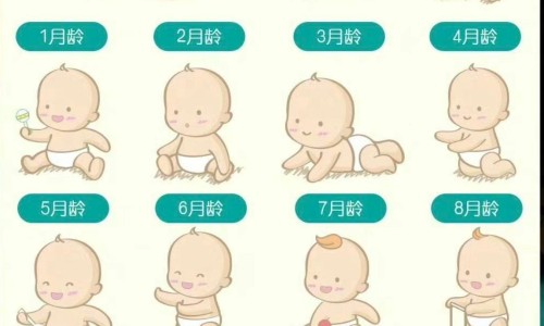 双钩腾草药-双勾腾有什么药用价值网 | 双钩腾草药,双勾藤主治功效与作用